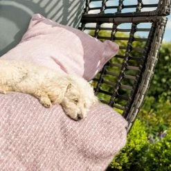 Maze Rattan Riviera Garden Deep Seated Chair in Grey -Garden Furniture Shop FU101342 add image 1 537c